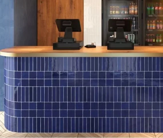 Cevica Zellige tiles 5 × 20 cm