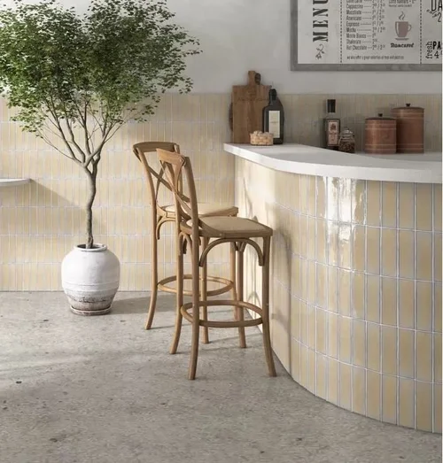 Cevica Zellige tiles 5 × 20 cm, special edition
