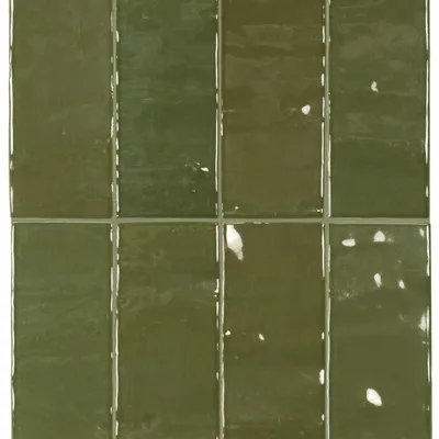 Equipe Marea Cactus 5 × 15 cm